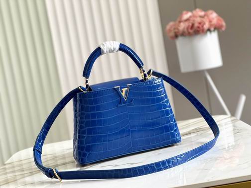 Capucines BB N93163 M48865 27x18x9cm gf