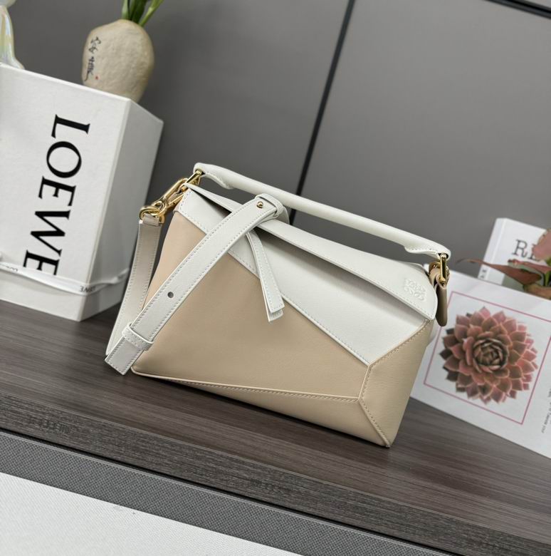 062324 24X10.5X16cm SS 2colour-2