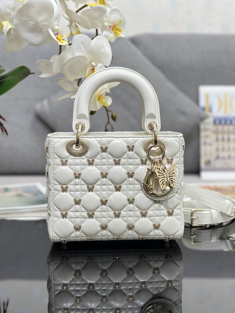 Dior M0538 20x17x8cm wz