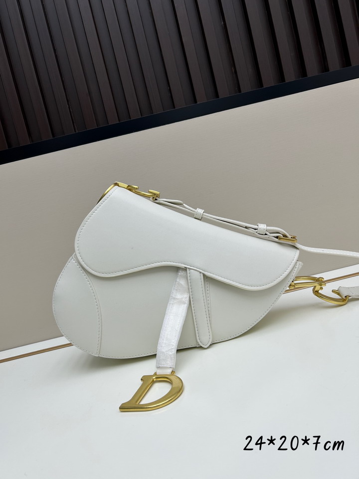 Dior Saddle 24x20x7cm jj