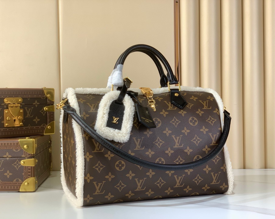 Speedy m26326 21x17x30cm gf