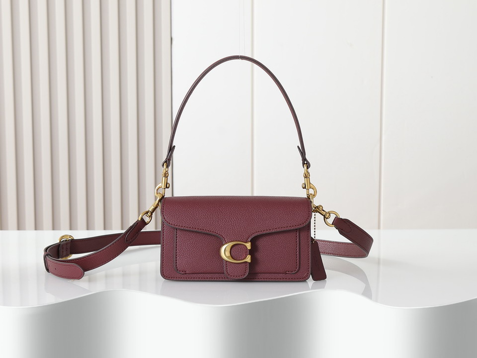 Coach 73995 20x10x6cm ss5