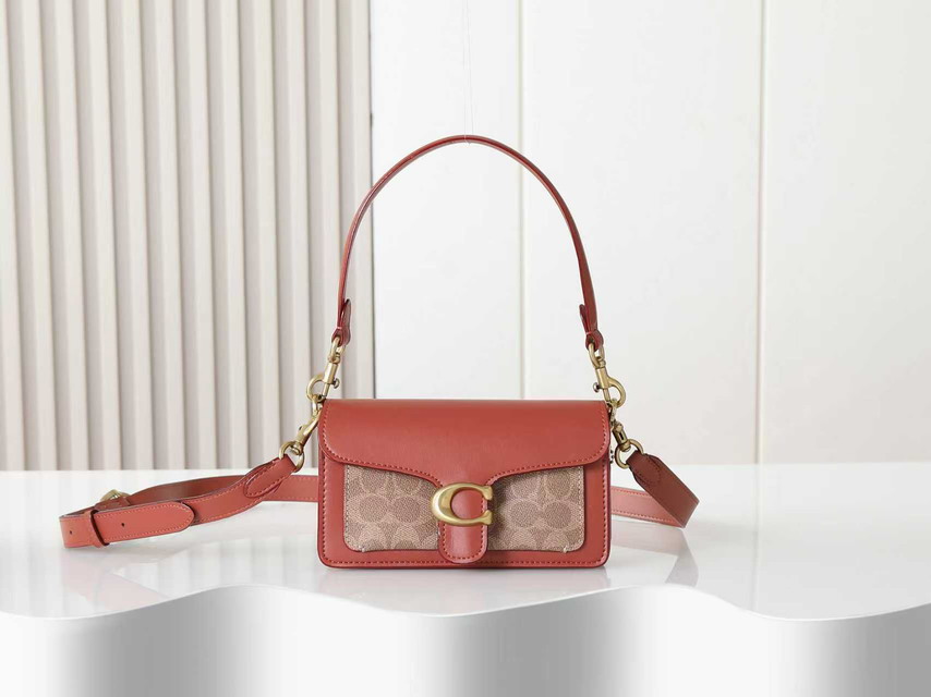 Coach 73995 20x10x6cm ss9