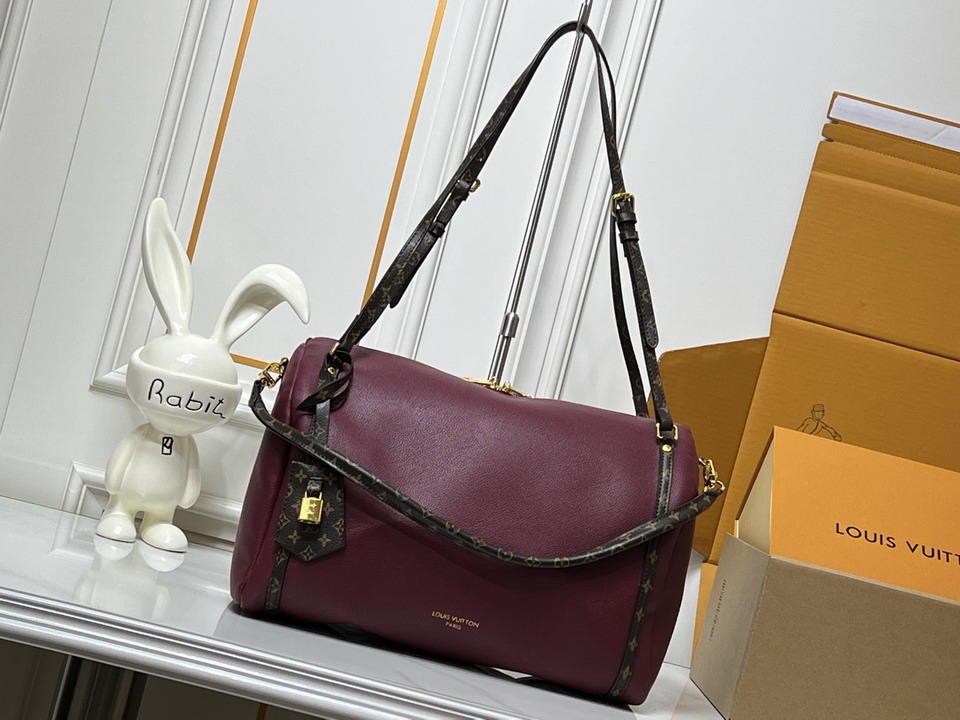 Express M13667 36x24x18.5cm ss1