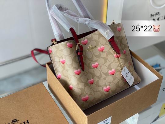 Coach mollie 25x22cm CN